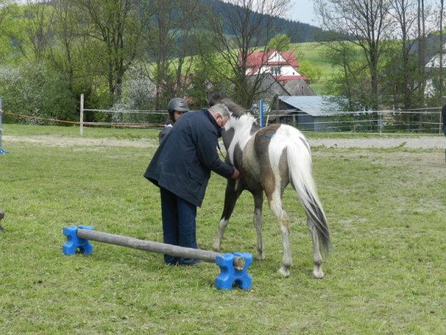 Rajd Mszana Górna 2015
